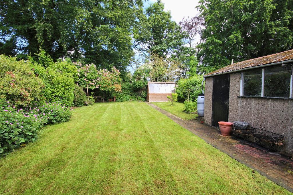 Lovely garden