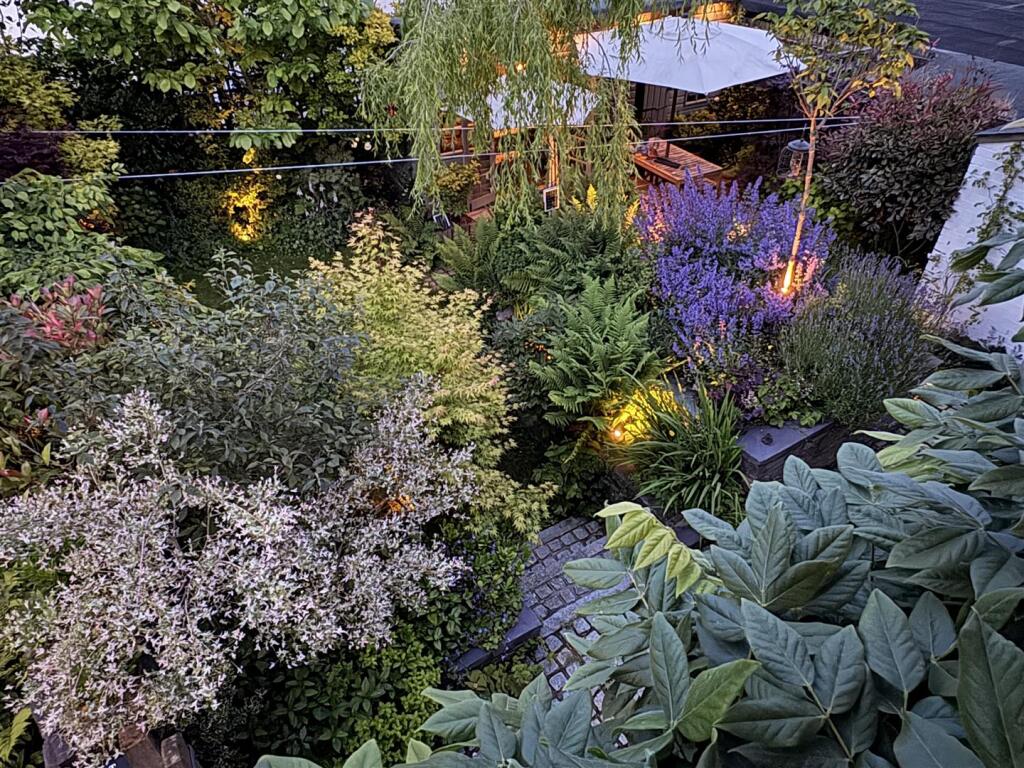 Additional Photograph