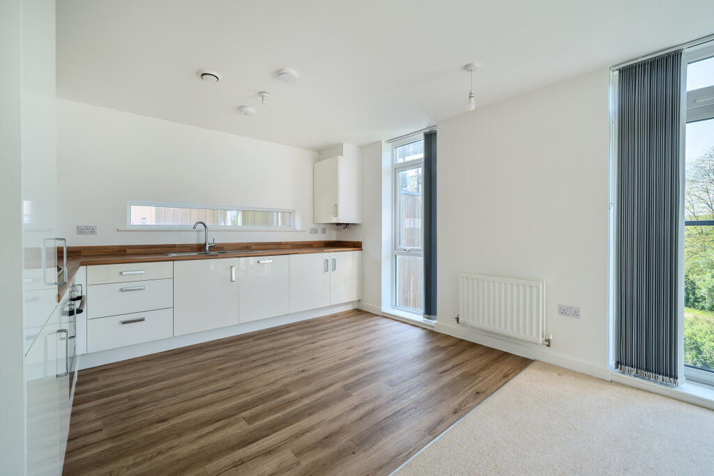 Kitchen / Living /Dining Room