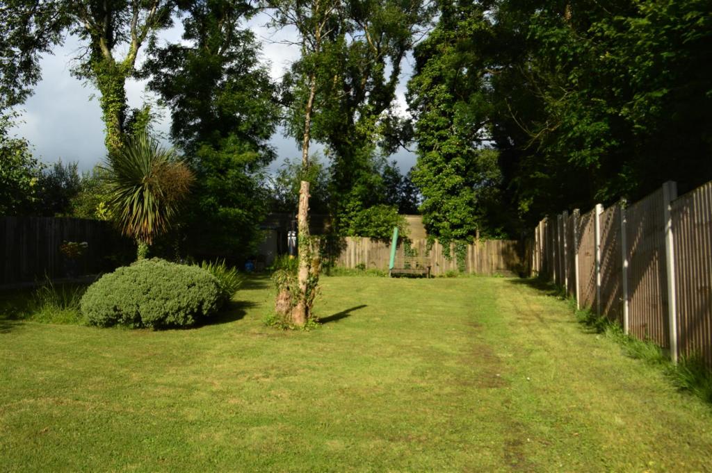 DSC_0197.jpg