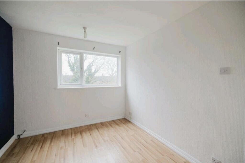 218234_202503090934sq_536h_IMG_14_0000