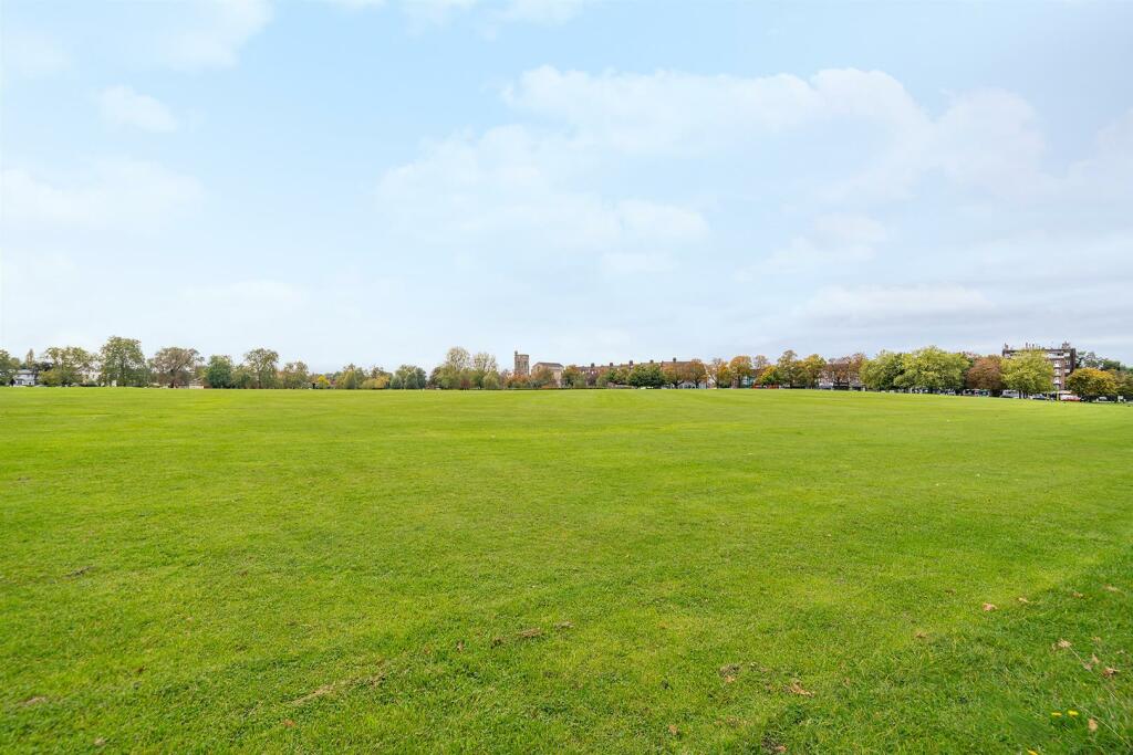 Views of the Common.jpg