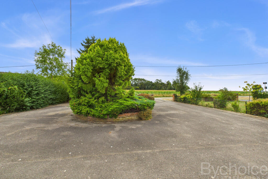 CAM05454G0-PR0045-STILL021