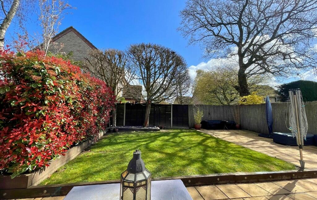 Back Garden 