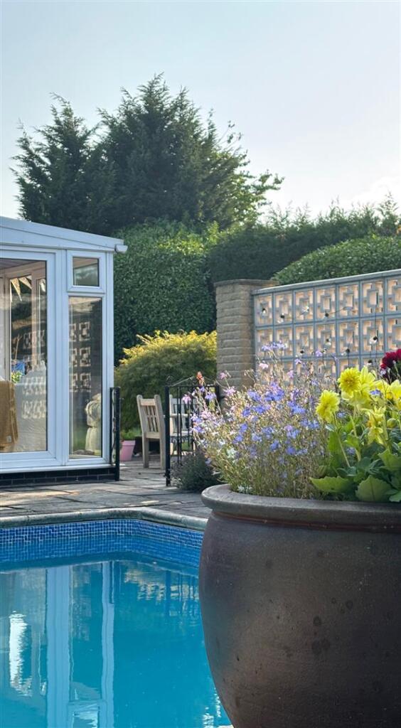 Vendor Garden Photos_6.jpg