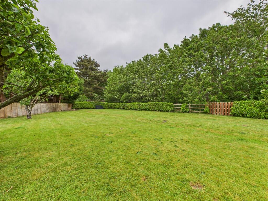 Garden: