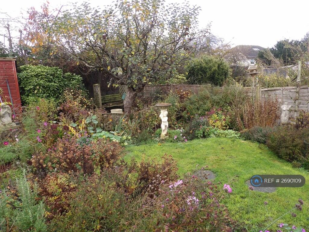 Well Established Garden