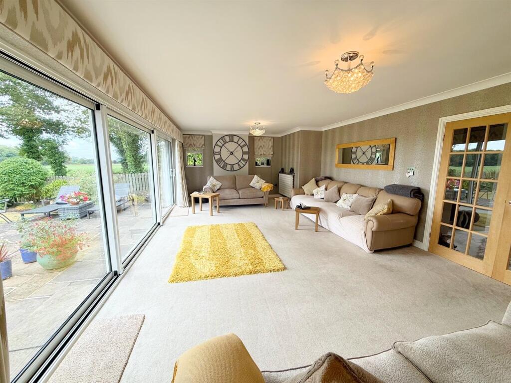 7 (Large).JPG
