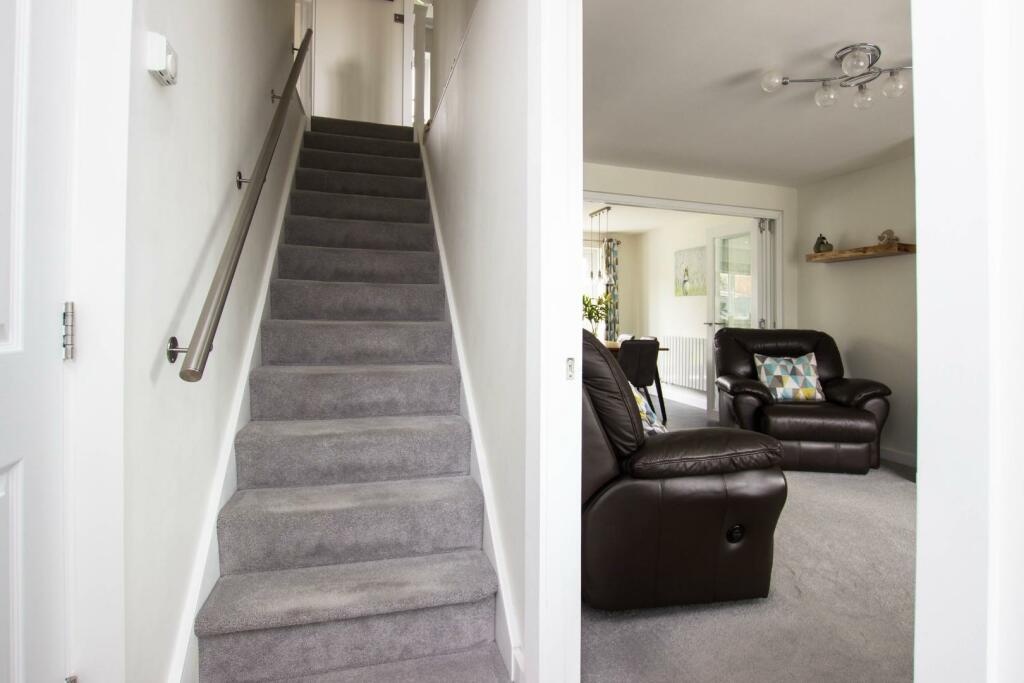 Aster Chase (36).jpg