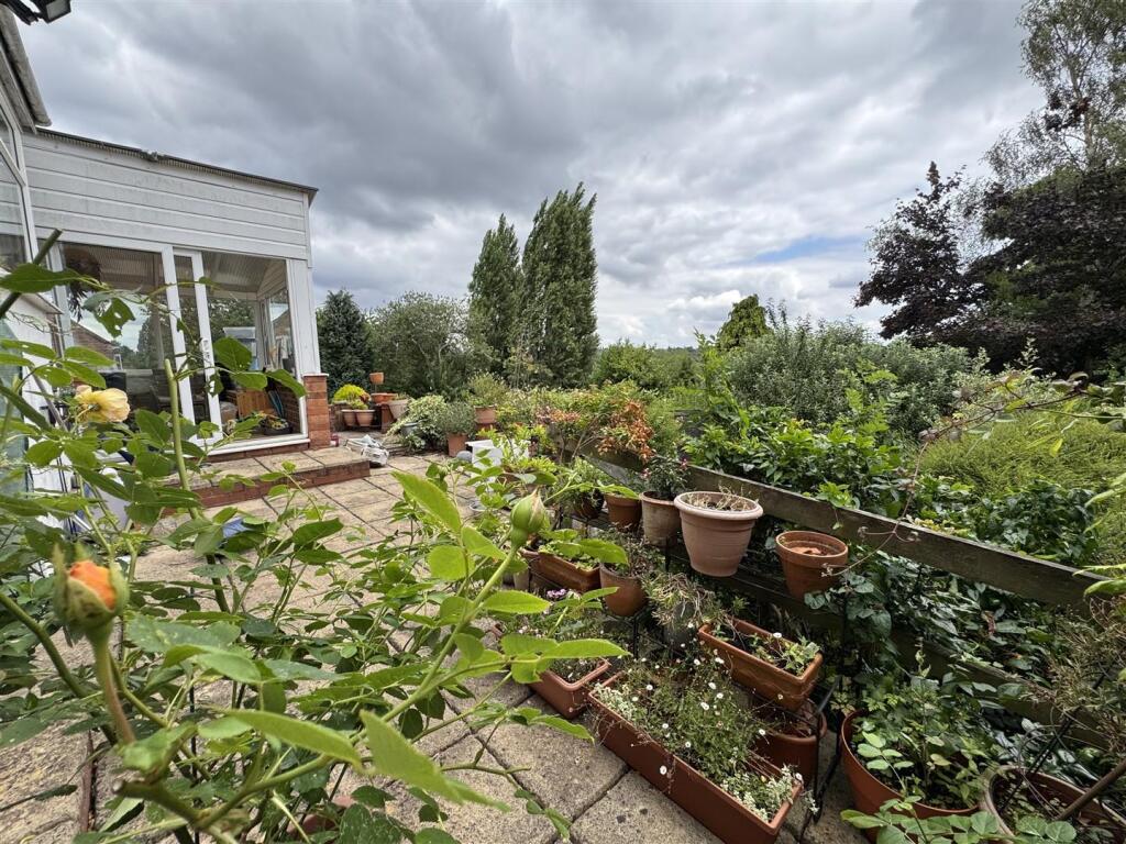 IMG_9598 (Large).JPG