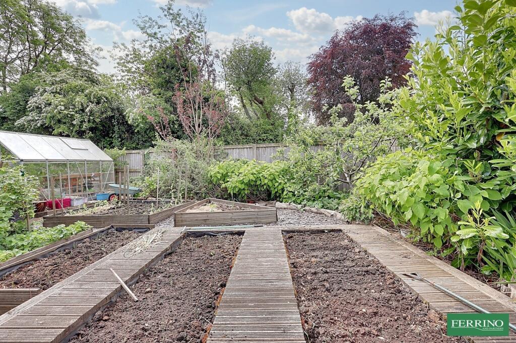 Vegetable Garden