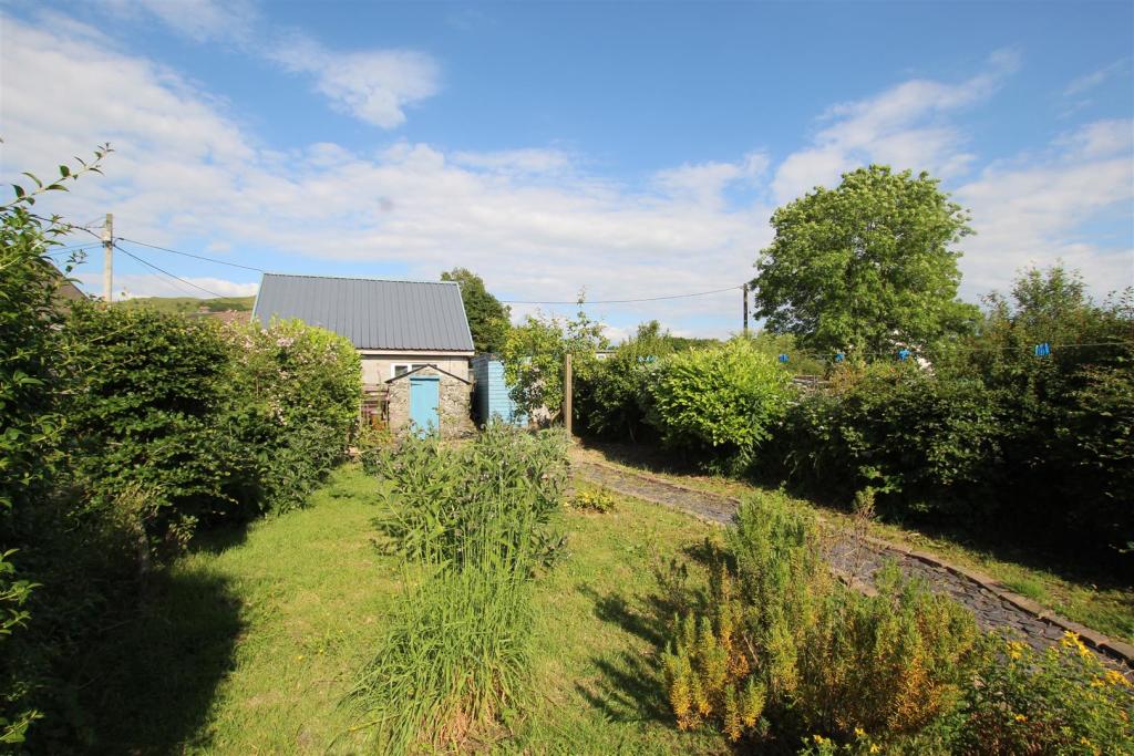 garden 1.JPG