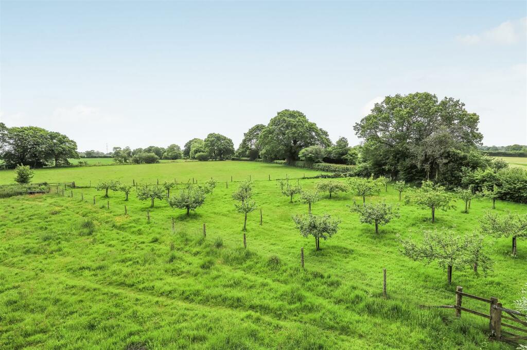 Paddock &amp; Orchard