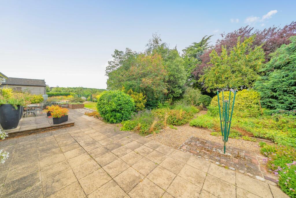 Garden (3)