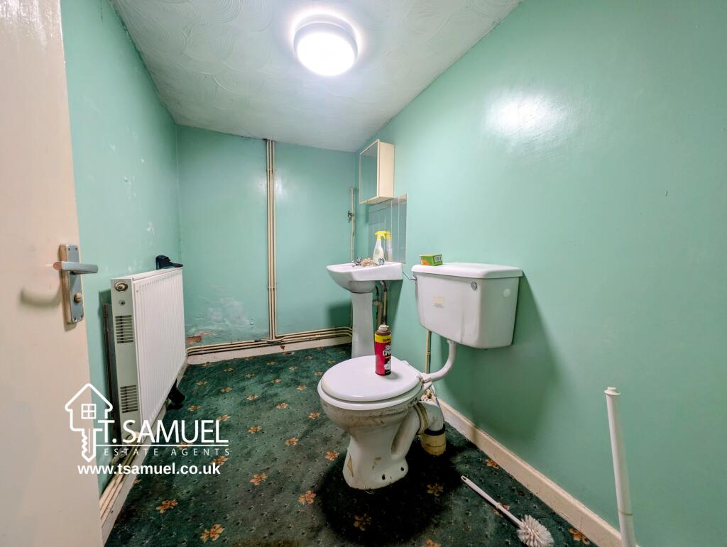 PXL_20241115_095651491~2