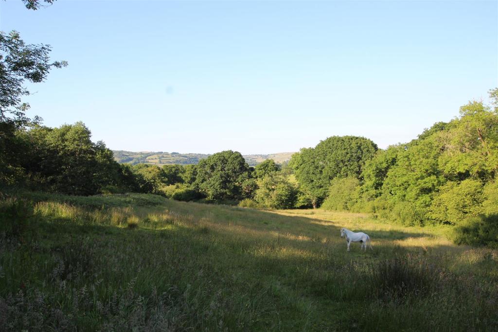 fields 1.JPG