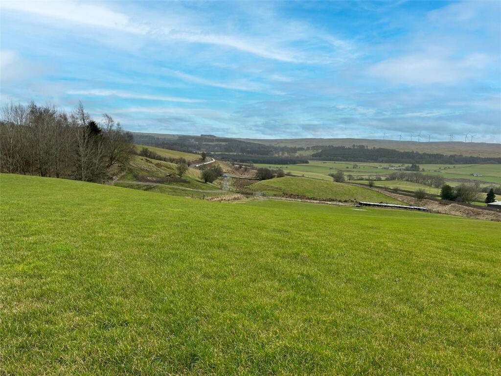 Silage Land