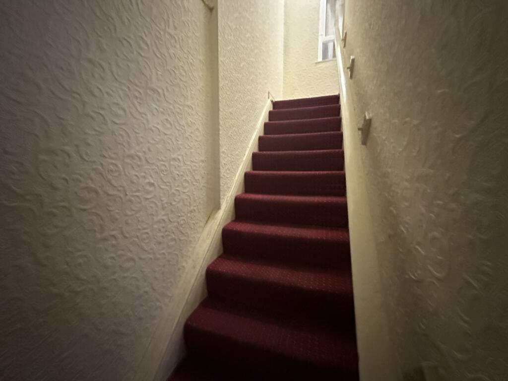 IMG 3565 T202509152243.jpeg