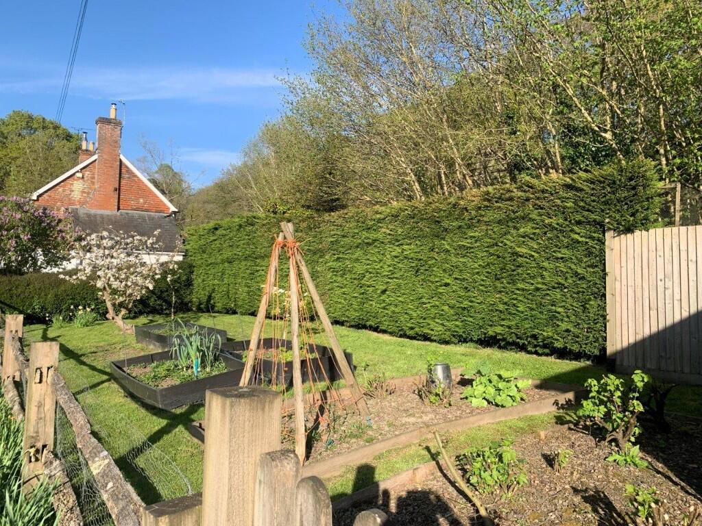 Kitchen garden