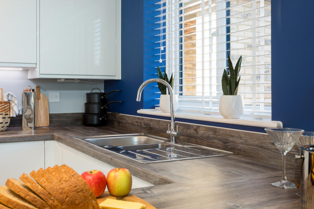 BH NHC MOLNY spruce2_05