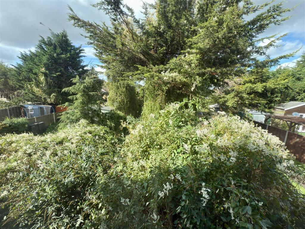 GARDEN.jpg