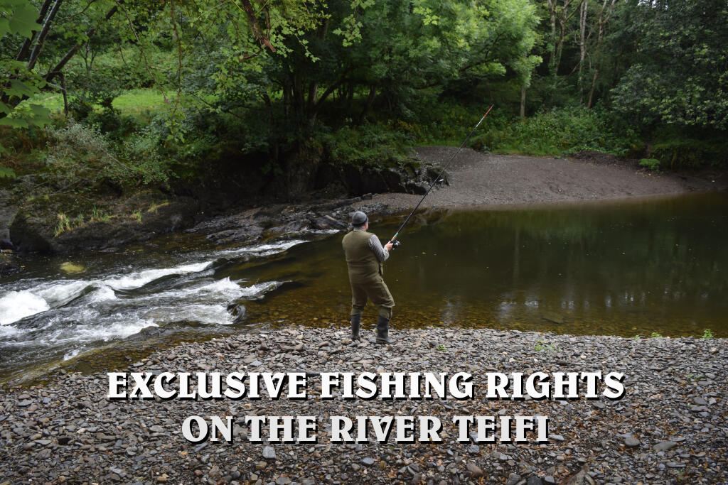 EXCLUSIVE FISHING RIGHTS ON THE RIVER TEIFI16thAug T202510031117.jpg