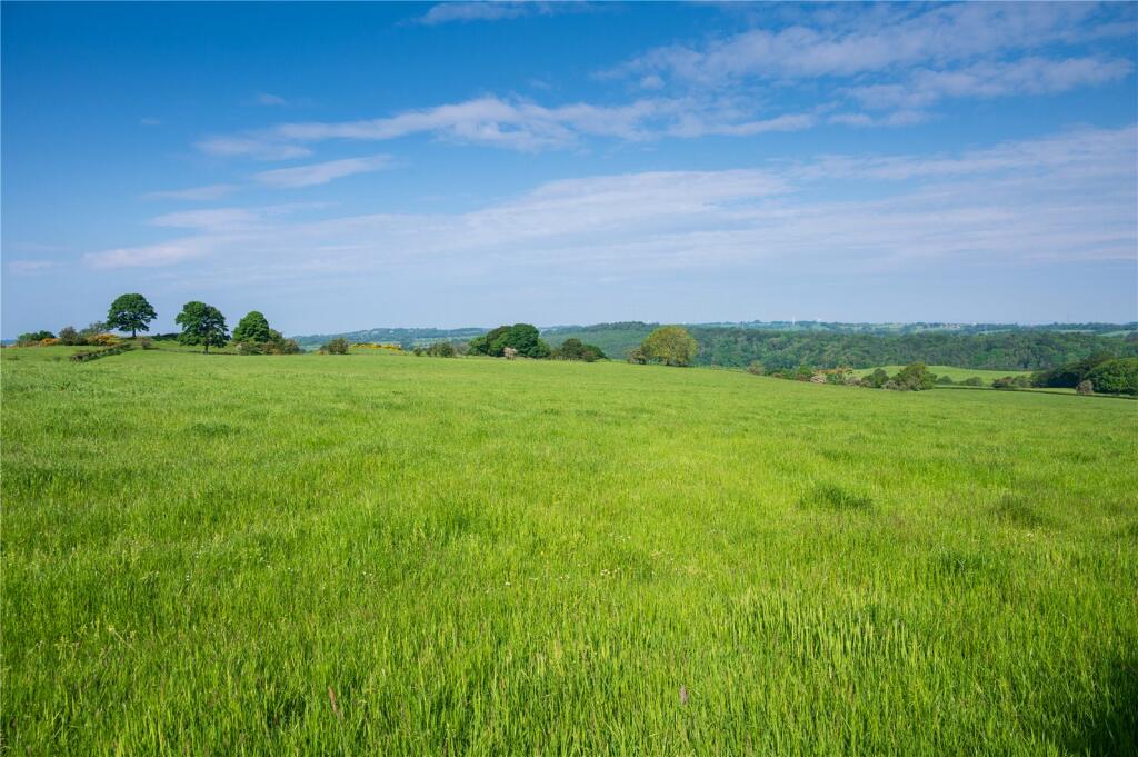 Lot 4