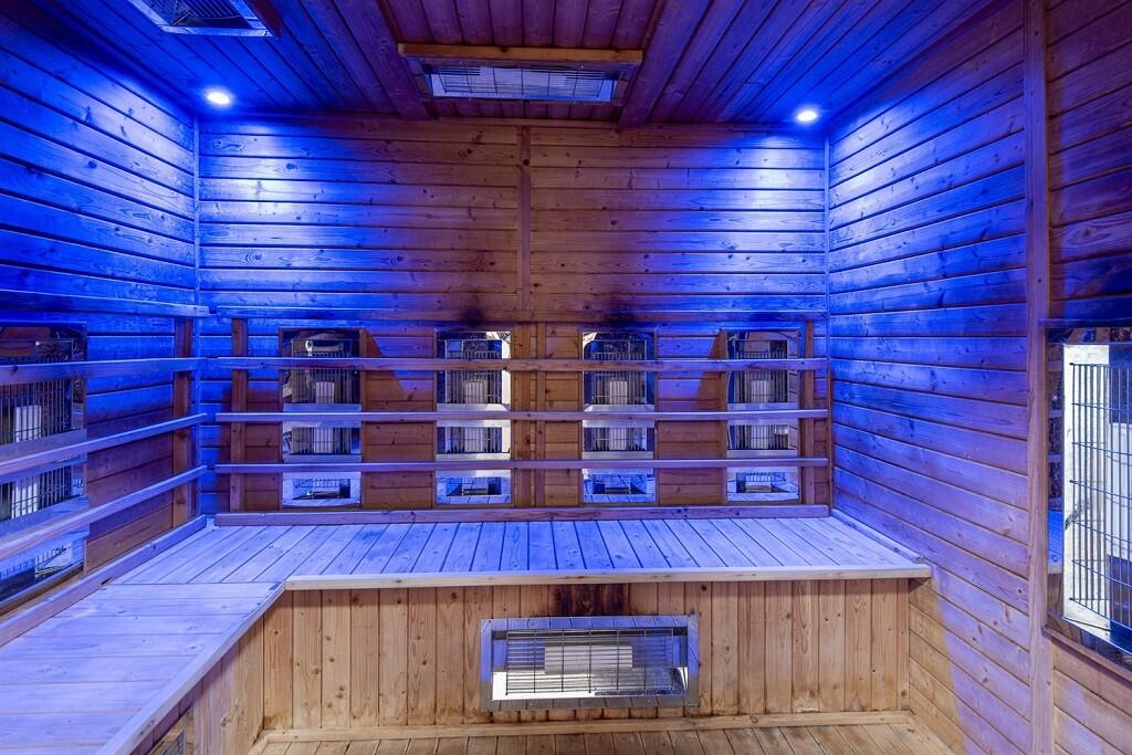 12277_50885_IMAGE...