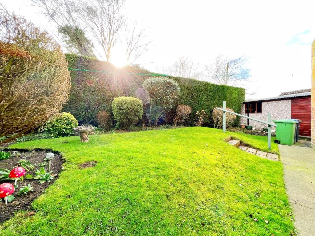 Garden pic 3.jpg