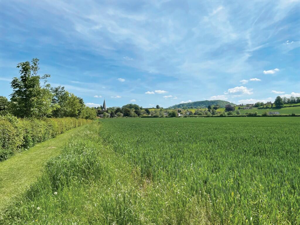Local countryside