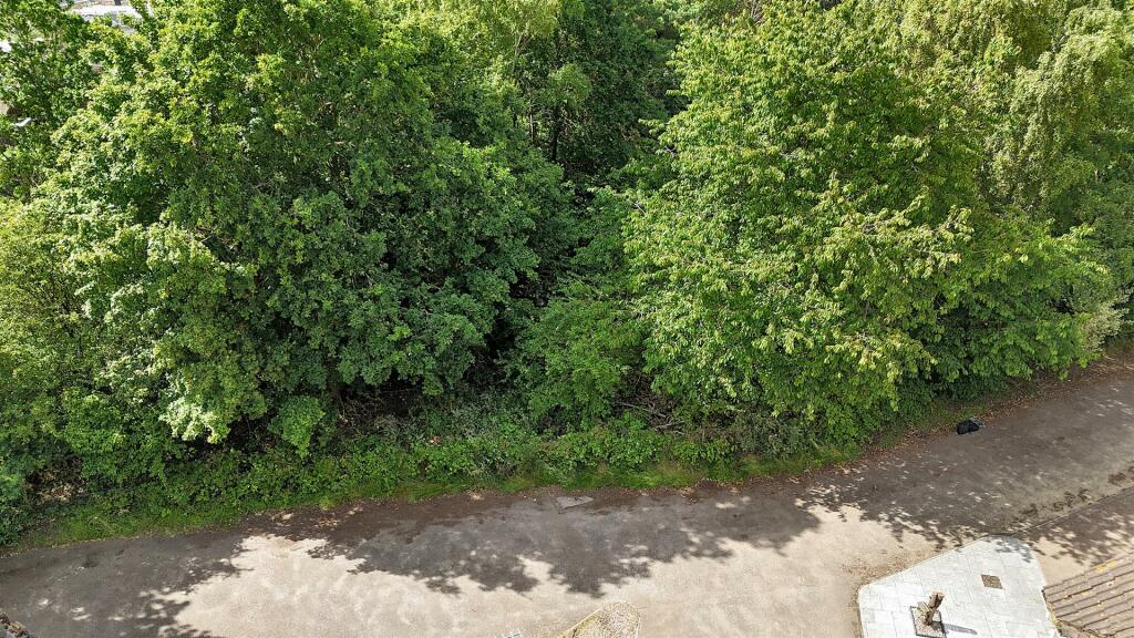 DJI_20240628101655_0337_D.JPG