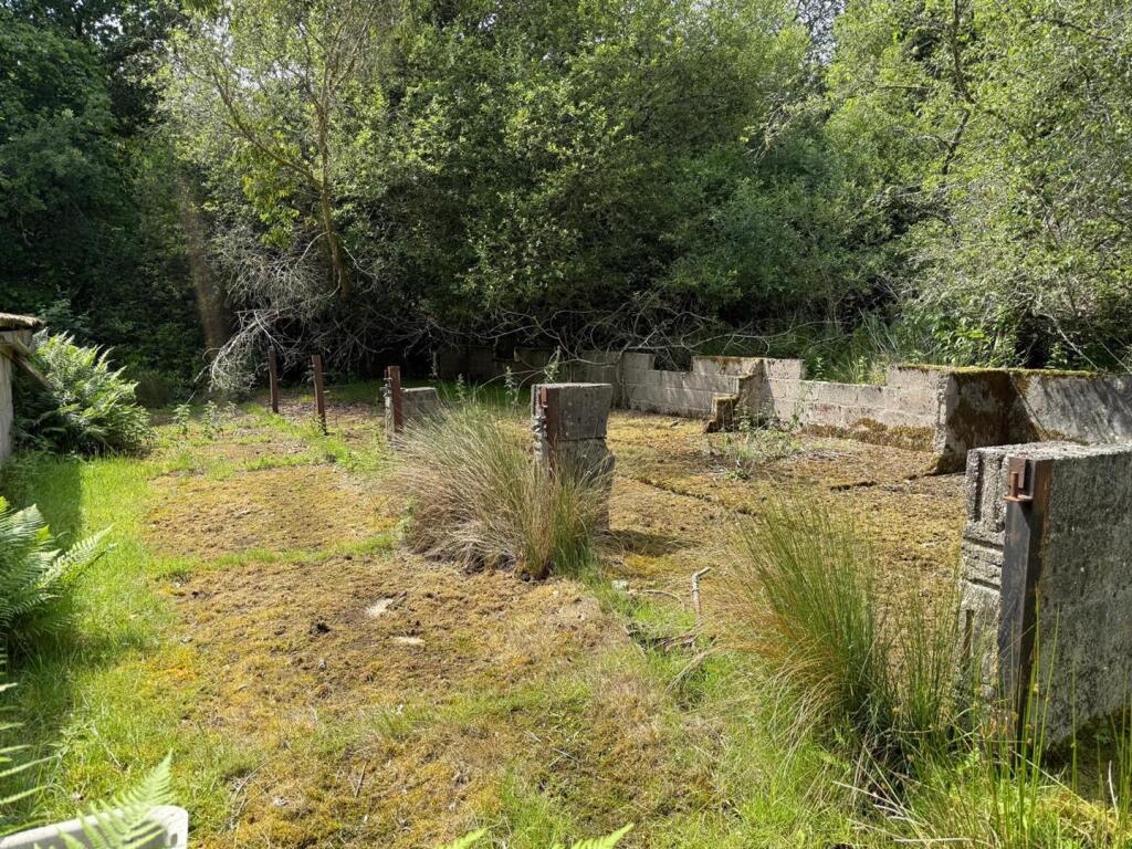 derellict pig farm building.jpeg