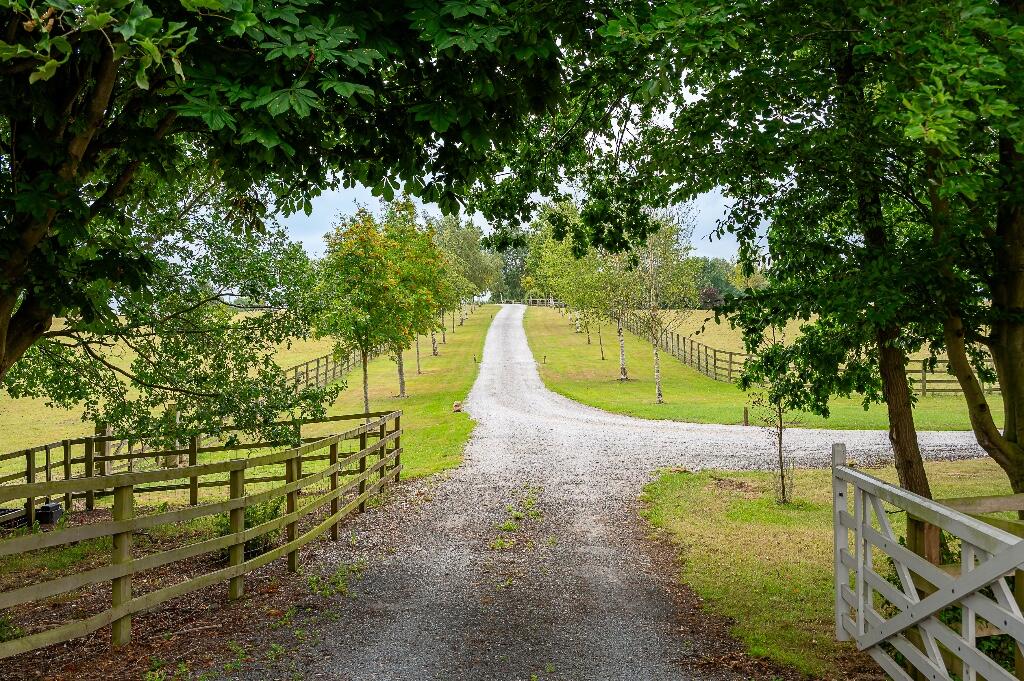 Driveway