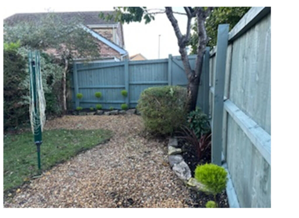 evening garden