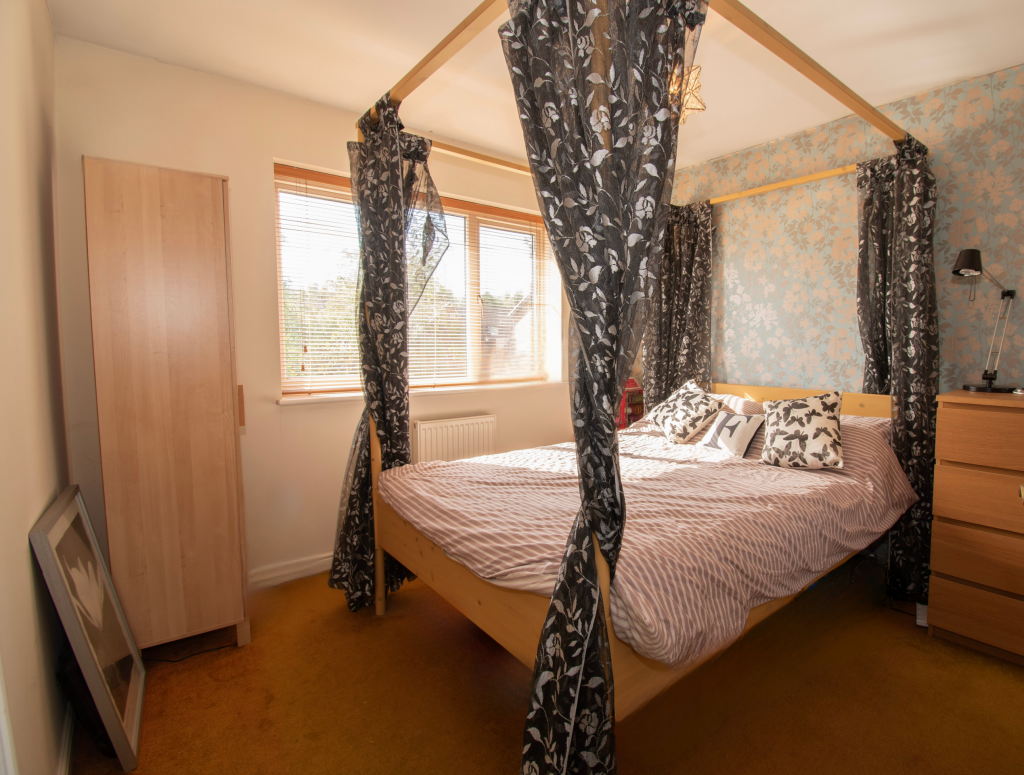 Untitled (5200 x 3900 px) (5200 x 3450 px) (9)