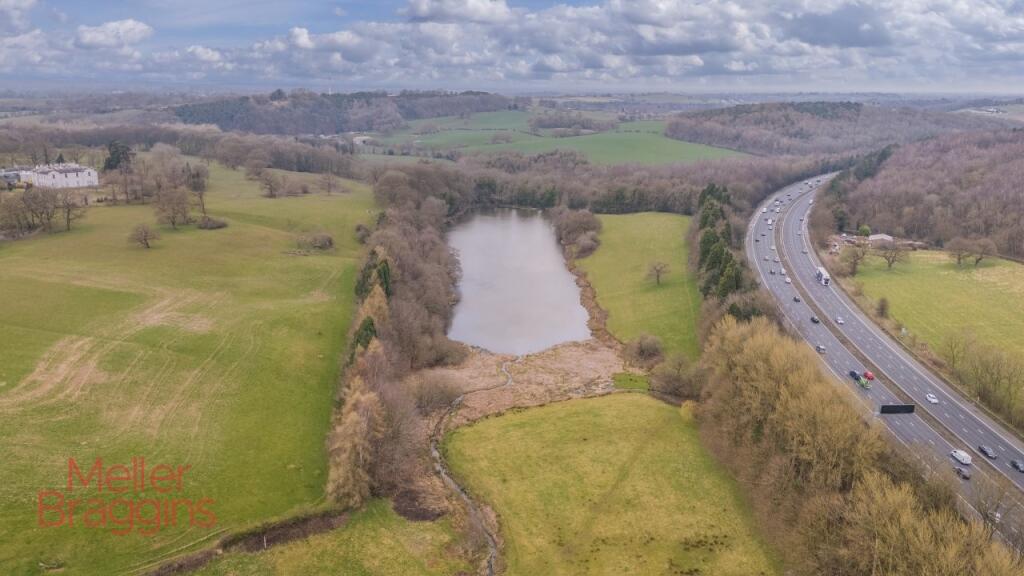 20250321-20250321-DJI_0160-Edit (2).jpg