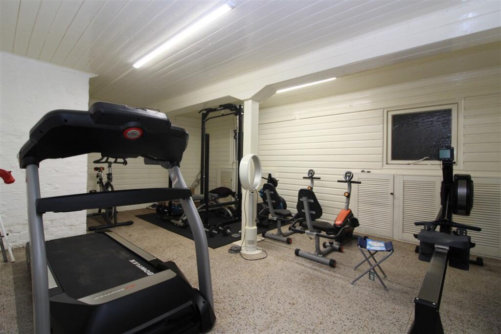 Cellar Gym T202508221635.jpg
