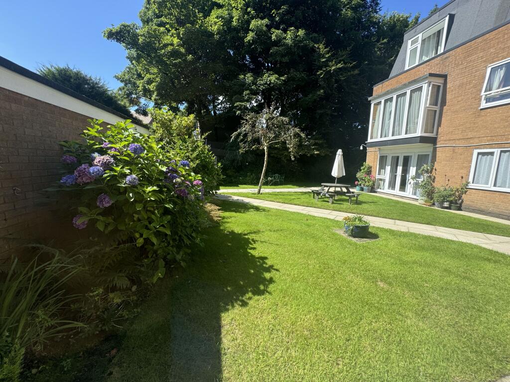 Photo 11