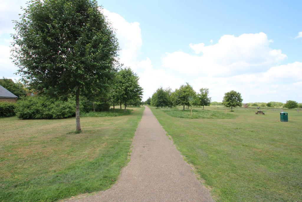 Local Walks and park