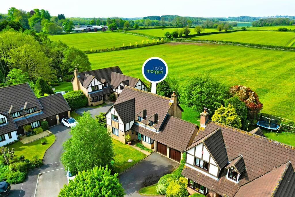 Hollis Morgan Auctions