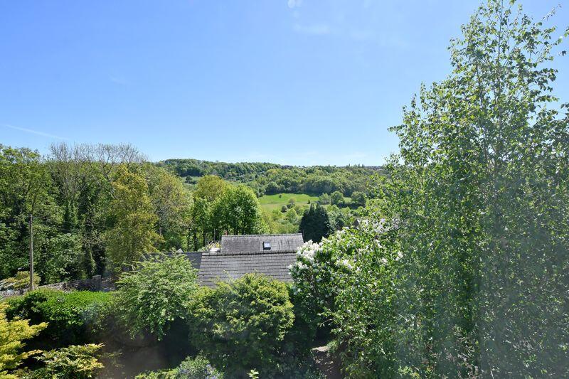 Countryside Views