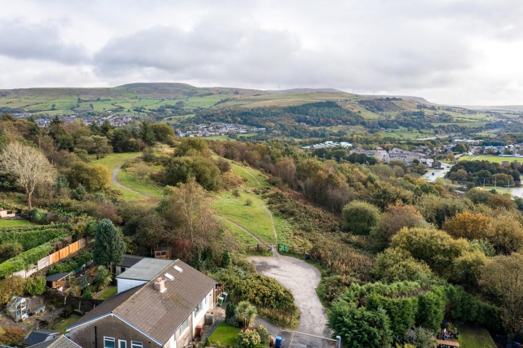 Local Views