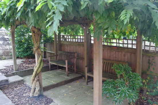 Rear Garden Pergola