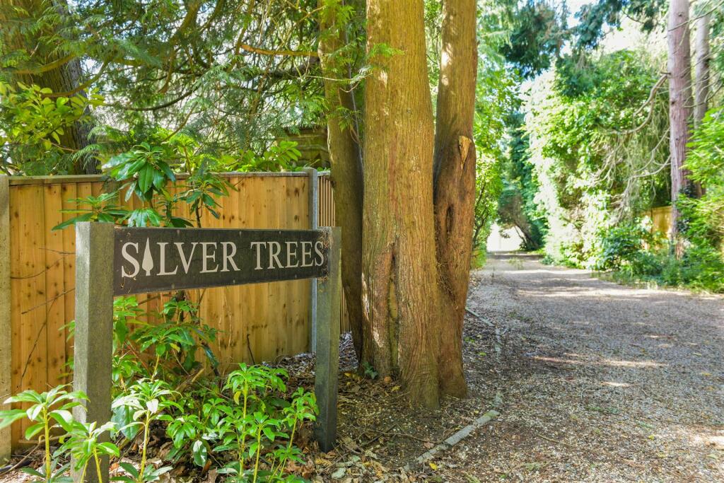 SILVER TREE EXTERNALS- (3).jpg