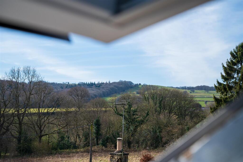 DSC_6720.jpg