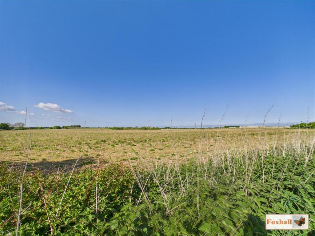 Woodland &amp; Surrounding Areas