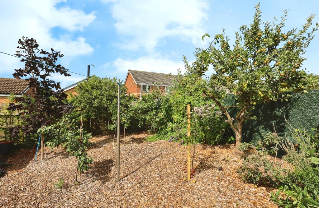 pbox-garden-319393.JPG