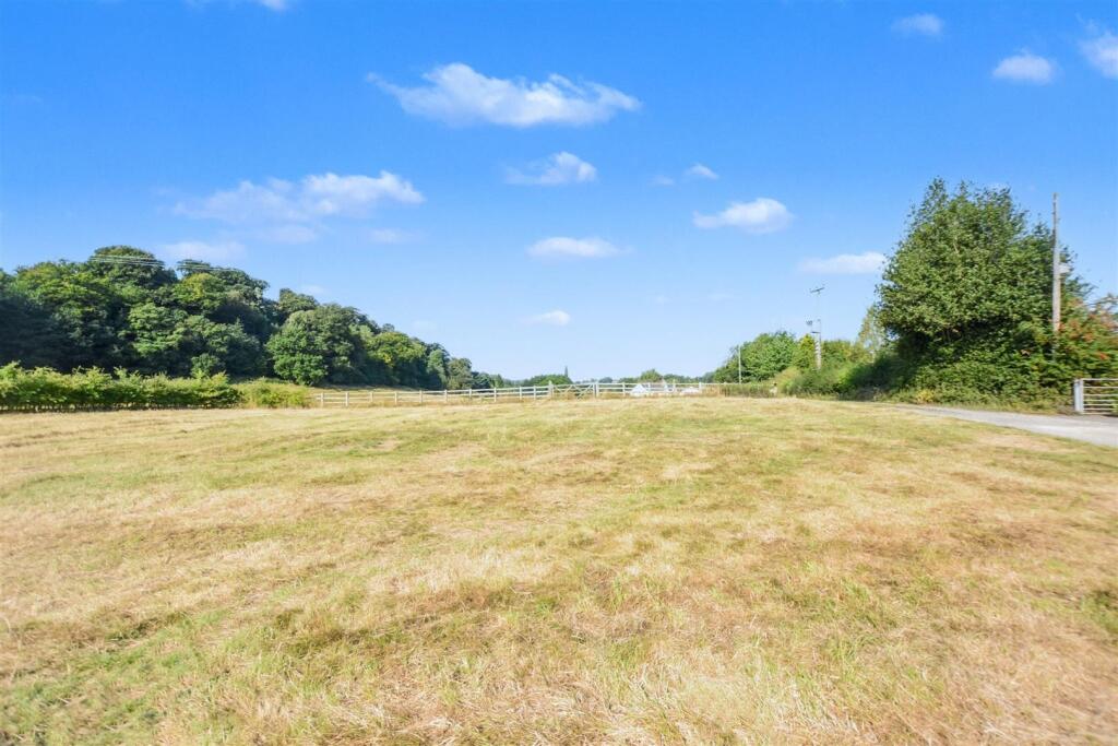 Field_2.jpeg