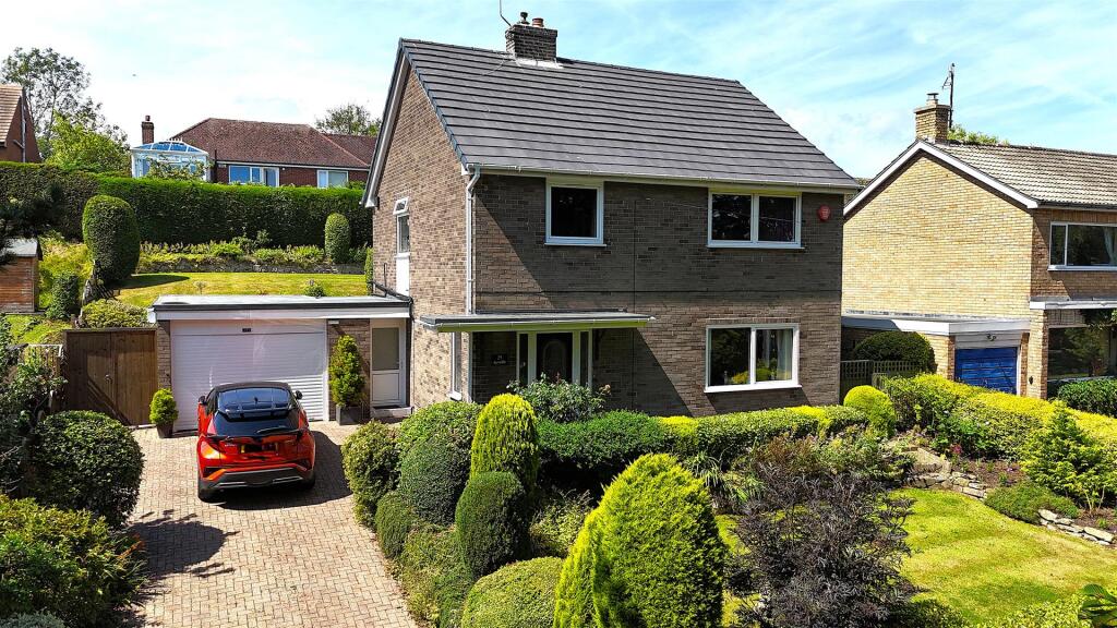 dji_fly_20250717_114532_0857_1752790959666_photo.j