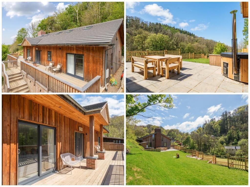 Back page collage.jpg